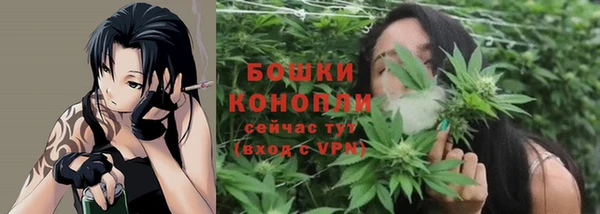 спиды Медногорск