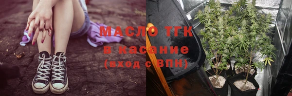 крисы Мегион