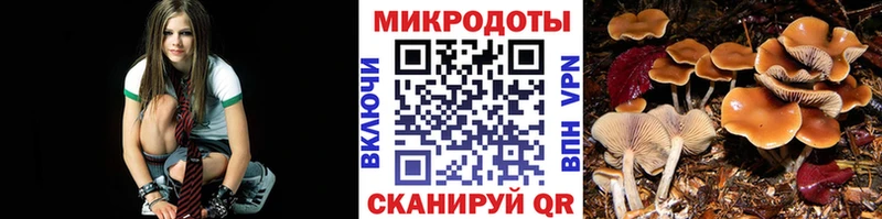 Псилоцибиновые грибы MAGIC MUSHROOMS  закладки  МЕГА зеркало  Щёкино 
